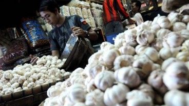 Harga Eceran Tertinggi Bawang Putih Bikin Resah Petani Temanggung